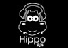 Hippo dj's - תקליטנים לאירועים