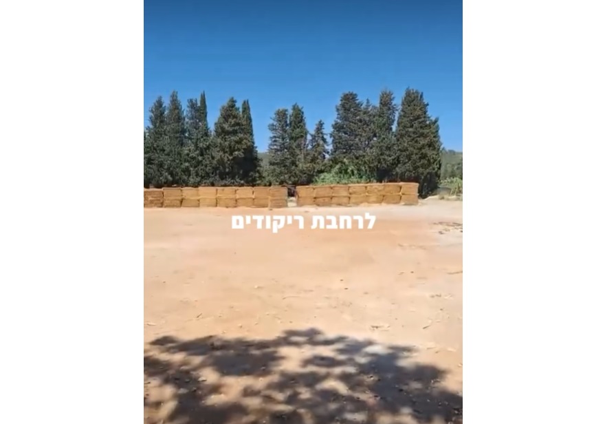 שירת הנחל