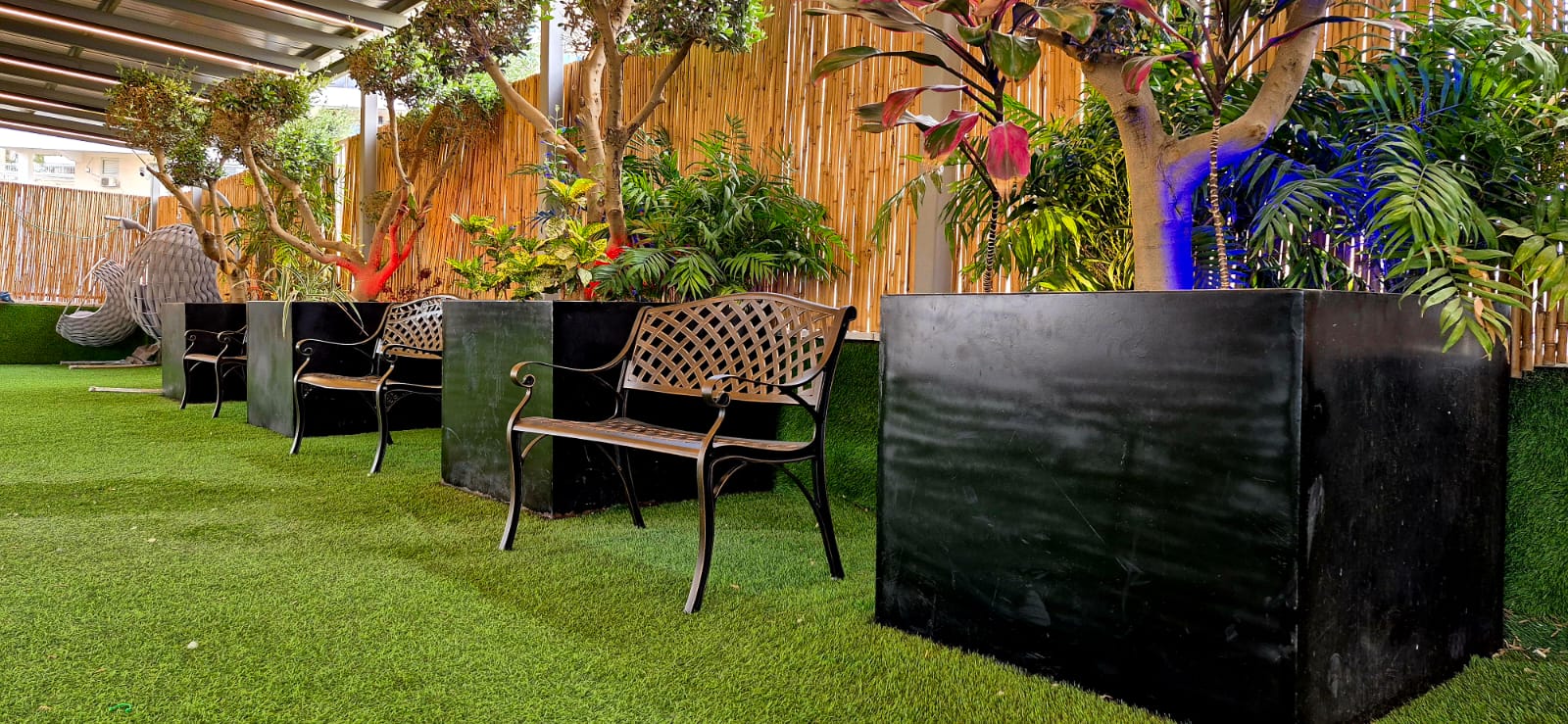 קמפוס לב מודיעין עילית