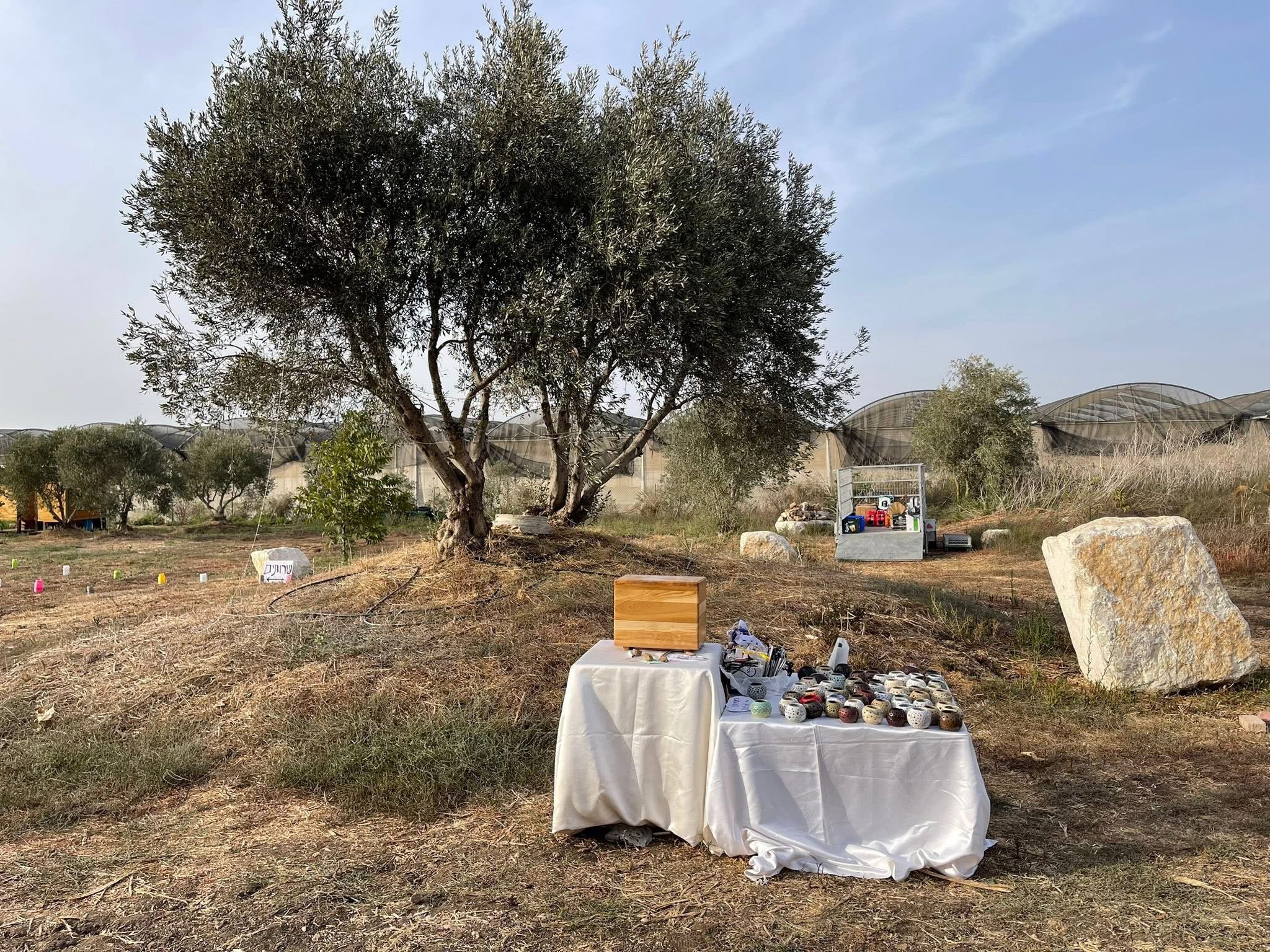 האגם הירוק - בצפון השרון