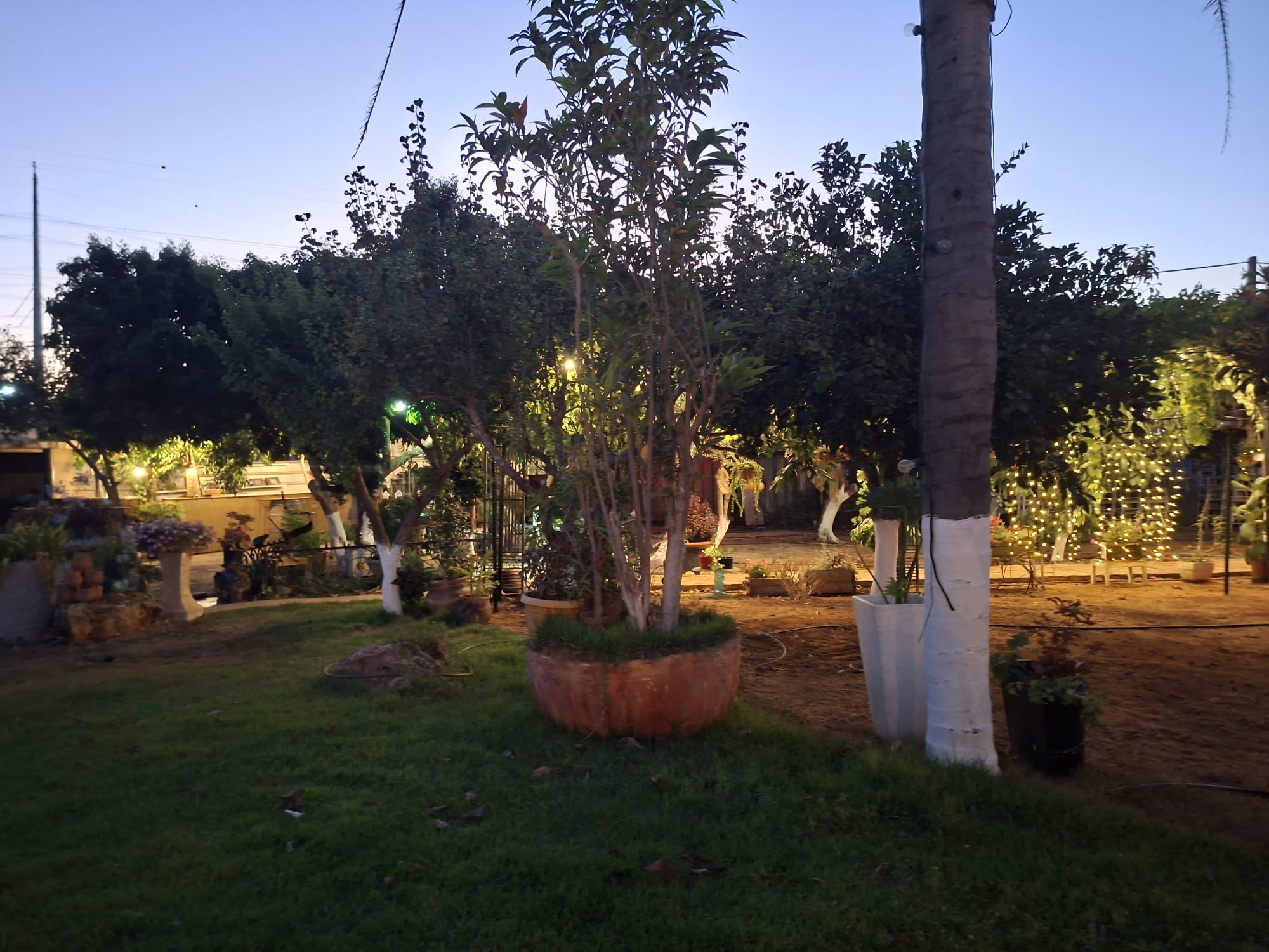 בוסתן שדה חמד -  ליד כפר סבא