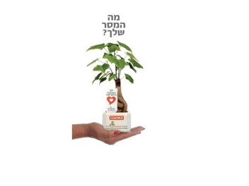 ישראל רף - עציצים ממותגים