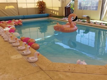 צימרים לשבת חתן פנינת הכפר - תרום