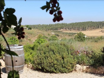 יקב קדמא - כפר אוריה (בקרבת בית שמש)