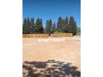 שירת הנחל