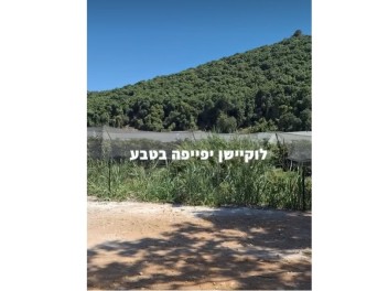 שירת הנחל