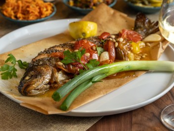 אנטריקוט   - הר החוצבים ירושלים