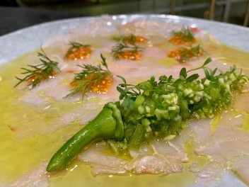 שרביה  Sharabiya - חתונה ביפו