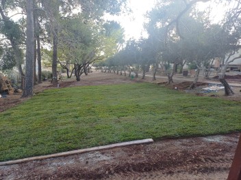 מדרשת שומרון  - שבי שומרון