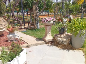 גן עצי הפרי אירועים - חתונת בוטיק בשרון