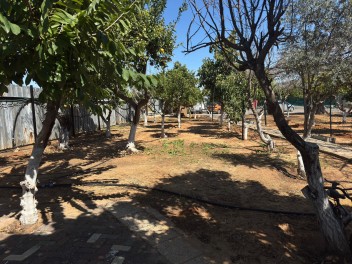 גן עצי הפרי אירועים - חתונת בוטיק בשרון