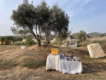 האגם הירוק - בצפון השרון