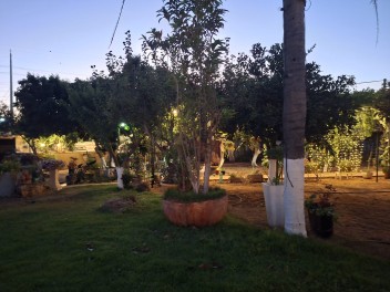 בוסתן שדה חמד -  ליד כפר סבא